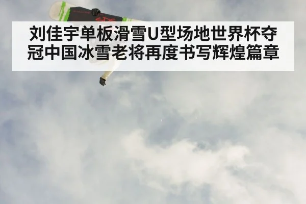 刘佳宇单板滑雪U型场地世界杯夺冠中国冰雪老将再度书写辉煌篇章